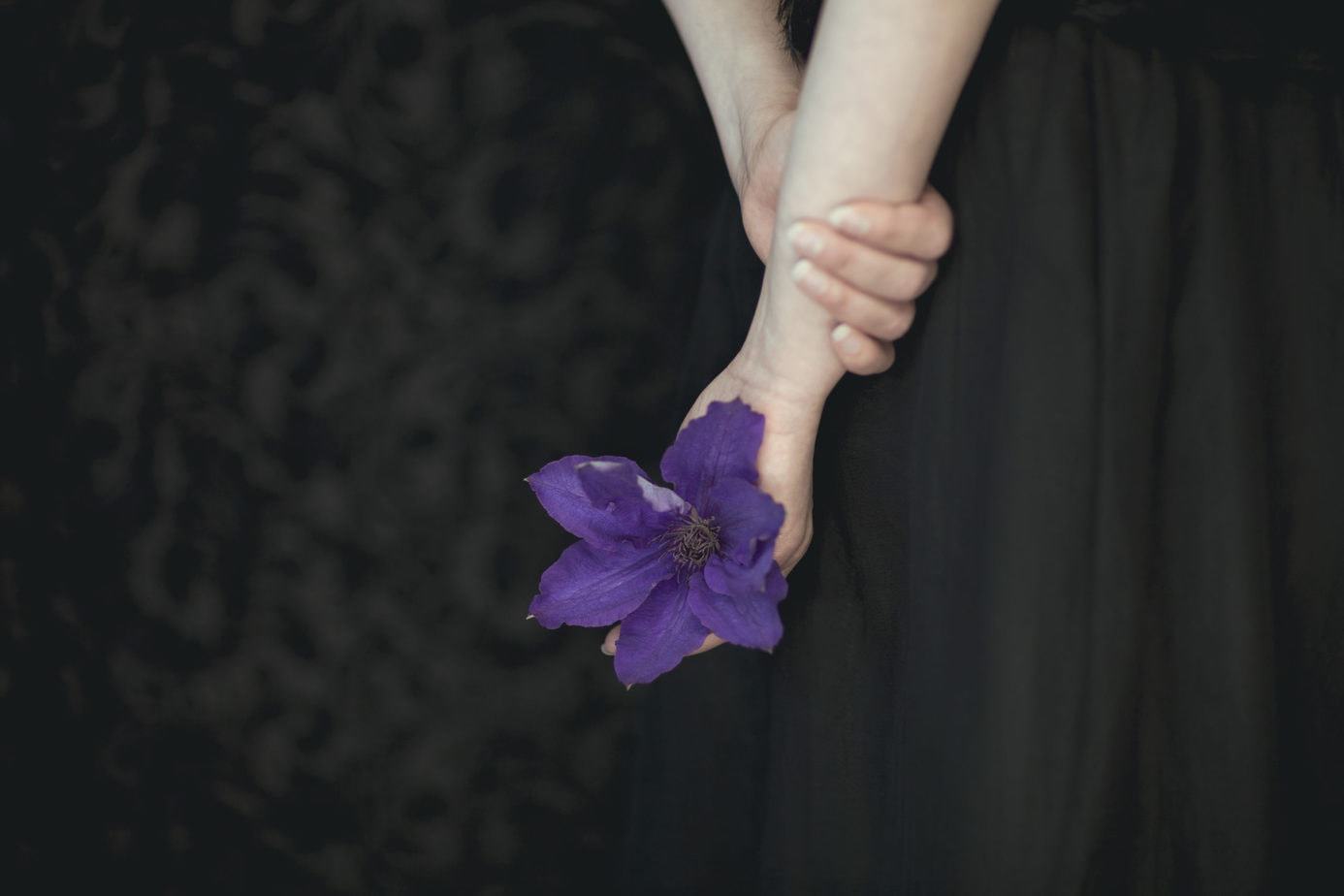 Hand mit lila Trauerblume